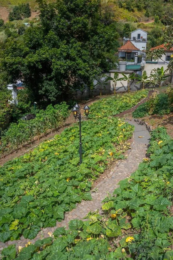 Solar Dos Reis By An Island Apart Ribeira Brava Kwatera prywatna
